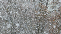 vánice blizzard-91898 1280